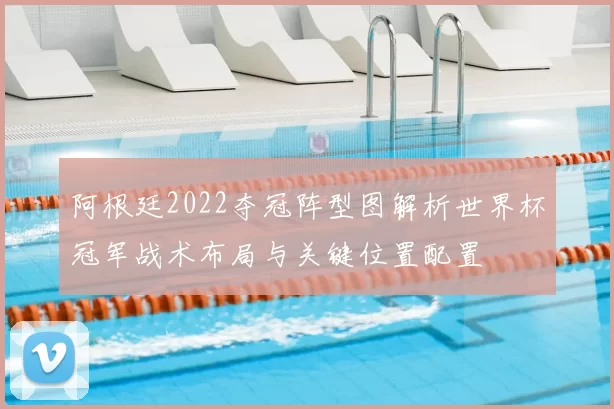 阿根廷2022夺冠阵型图解析世界杯冠军战术布局与关键位置配置