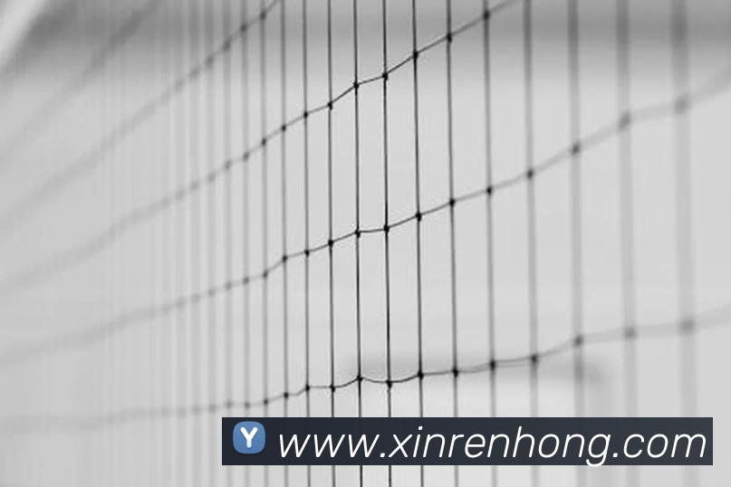 足球世界杯官网中文版平台生态图