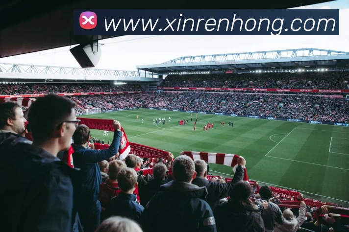 电子娱乐pg网站APP 封面图